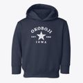 Okoboji Iowa Star Toddler Hoodie additional view 1