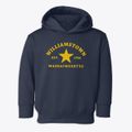 Williamstown Massachusetts Star Toddler Hoodie additional view 1