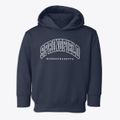 Springfield Massachusetts Inline Toddler Hoodie additional view 1