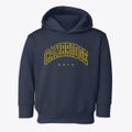 Cambridge Ohio Inline Toddler Hoodie additional view 1
