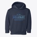 Wellesley Massachusetts Horizon Toddler Hoodie additional view 1