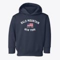 Bald Mountain New York Patriot Toddler Hoodie additional view 1