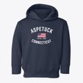Aspetuck Connecticut Patriot Toddler Hoodie additional view 1