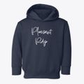 Pleasant Ridge Texas Freestyle Toddler Hoodie additional view 1