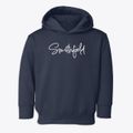 Smithfield Pennsylvania Freestyle Toddler Hoodie additional view 1