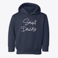 Saint Davids Pennsylvania Freestyle Toddler Hoodie additional view 1