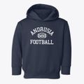 Andrusia Minnesota Football Toddler Hoodie additional view 1