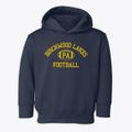 Birchwood Lakes Pennsylvania Football Toddler Hoodie additional view 1