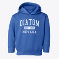 Diatom Nevada Classic Established Toddler Hoodie additional view 1