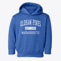 Oldham Pines Massachusetts Classic Established Toddler Hoodie additional view 1