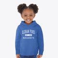 Oldham Pines Massachusetts Classic Established Toddler Hoodie additional view 2