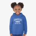 Summerside Ohio Classic Established Toddler Hoodie additional view 2