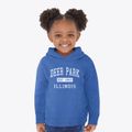 Deer Park Illinois Classic Established Toddler Hoodie additional view 2
