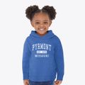 Pyrmont Missouri Classic Established Toddler Hoodie additional view 2