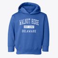 Walnut Ridge Delaware Classic Established Toddler Hoodie additional view 1