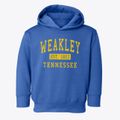 Weakley Tennessee Classic Established Toddler Hoodie additional view 1