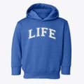 Life Christian Academy Varsity Arch Toddler Hoodie additional view 1