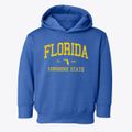 Florida Slogan Toddler Hoodie additional view 1