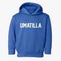 Umatilla Oregon Classic Block Toddler Hoodie additional view 1