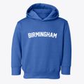 Birmingham Michigan Classic Curve Toddler Hoodie additional view 1