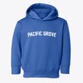 Pacific Grove California Classic Curve Toddler Hoodie additional view 1