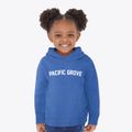 Pacific Grove California Classic Curve Toddler Hoodie additional view 2