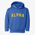 Alpha Illinois Classic Curve Toddler Hoodie additional view 1