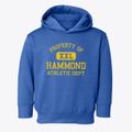 Hammond Wisconsin Athletic Dept Toddler Hoodie additional view 1