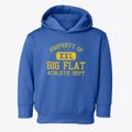 Big Flat Arkansas Athletic Dept Toddler Hoodie additional view 1