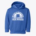 New Mexico Sunset Toddler Hoodie additional view 1