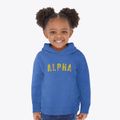 Alpha Illinois Timeless Retro Toddler Hoodie additional view 2