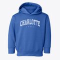 Charlotte Iowa Urban Vibe Toddler Hoodie additional view 1