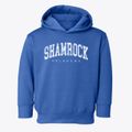 Shamrock Oklahoma Urban Vibe Toddler Hoodie additional view 1