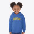 Sheridan Illinois Urban Vibe Toddler Hoodie additional view 2