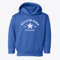 Willow Park Texas Star Toddler Hoodie additional view 1