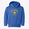Hilliard Ohio Star Toddler Hoodie additional view 1