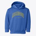 Arlington Illinois Inline Toddler Hoodie additional view 1
