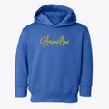 Glenwillow Ohio Freestyle Toddler Hoodie additional view 1