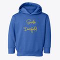 South Deerfield New Hampshire Freestyle Toddler Hoodie additional view 1