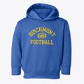 Birchmont Minnesota Football Toddler Hoodie additional view 1