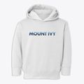 Mount Ivy New York Cool Breeze Toddler Hoodie additional view 1
