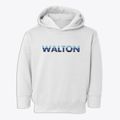 Walton New York Cool Breeze Toddler Hoodie additional view 1