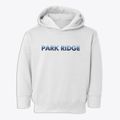 Park Ridge Illinois Cool Breeze Toddler Hoodie additional view 1