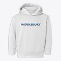 Middlebury New York Cool Breeze Toddler Hoodie additional view 1