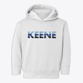 Keene New York Cool Breeze Toddler Hoodie additional view 1