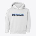 Hermon New York Cool Breeze Toddler Hoodie additional view 1