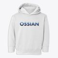 Ossian New York Cool Breeze Toddler Hoodie additional view 1