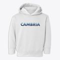 Cambria Wisconsin Cool Breeze Toddler Hoodie additional view 1
