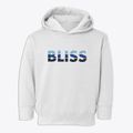 Bliss New York Cool Breeze Toddler Hoodie additional view 1