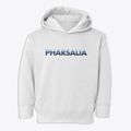 Pharsalia New York Cool Breeze Toddler Hoodie additional view 1